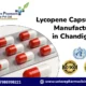 Lycopene Capsules Manufacturer in Chandigarh