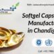 Softgel Capsules Manufactures in Chandigarh