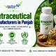 Nutraceutical Manufacturers in Punjab